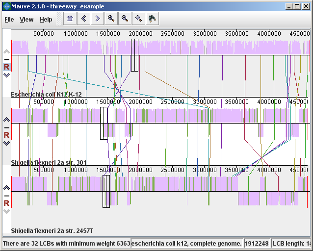 Backbone color view of three E. coli and Shigella genomes